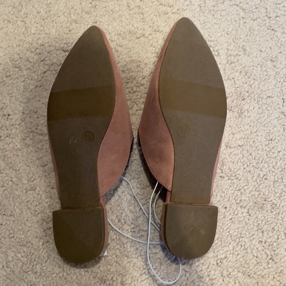 A new day by target mules - Picture 2 of 3